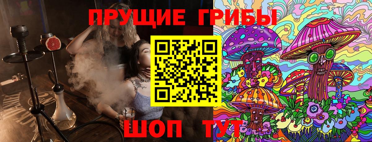 Галлюциногенные грибы Magic Shrooms  Псилоцибиновые грибы Cubensis  как найти закладки  Благодарный  Вход с VPN 