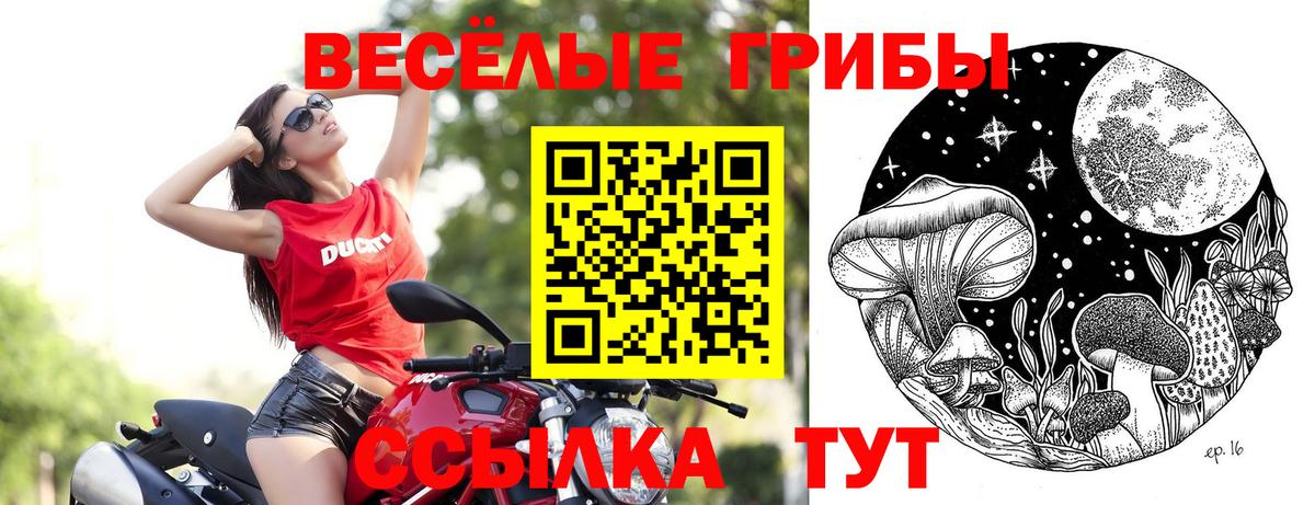 Псилоцибиновые грибы прущие грибы Благодарный